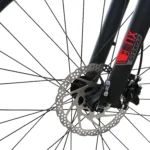 TOTEM E-Bike Bremse – Nahaufnahme