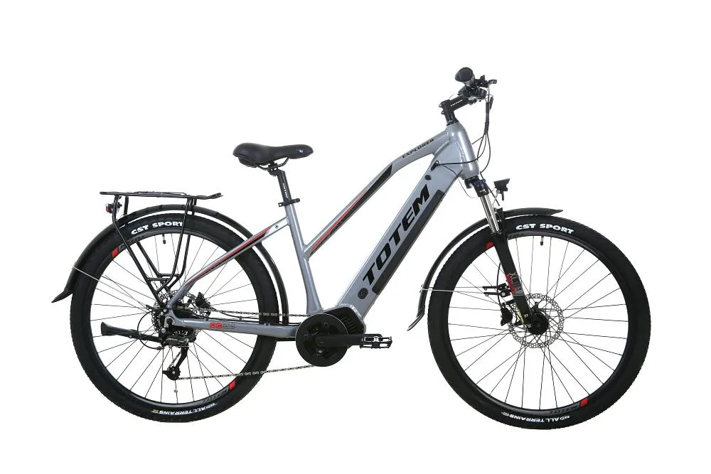 TOTEM Explorer E-Trekkingbike in Silber – komfortables Elektro-Tourenrad für Alltag und längere Strecken