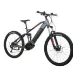 TOTEM Carry Pro E-Mountainbike in Grau – robustes Elektro-MTB für Bergtouren und sportliche Offroad-Abenteuer