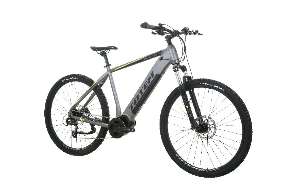 TOTEM Maurice Pro E-Mountainbike in Silber – leistungsfähiges E-Mountainbike für Abenteuer und Outdoor-Touren