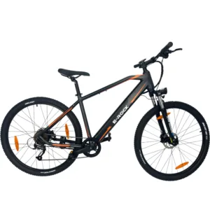 E-Rock Advance X1 E-Mountainbike in schwarz – leistungsstarkes Elektro-MTB für anspruchsvolle Trails und Offroad-Abenteuer