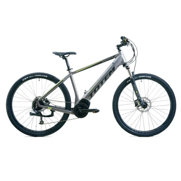 TOTEM Maurice E-Mountainbike in Silber – robustes Elektro-MTB für anspruchsvolle Trails und Offroad-Abenteuer