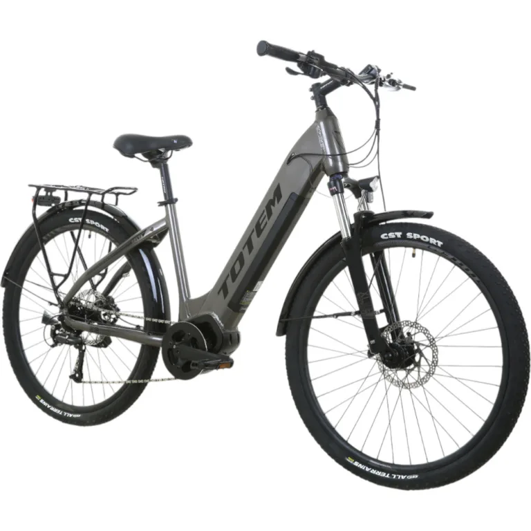 TOTEM Delta E-Citybike in Anthrazit – stylisches, leistungsstarkes Stadtrad für urbane Mobilität