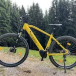 Eonic One Adventure kaufen: Gelbes E-Mountainbike auf einem Schotterweg vor einer Kulisse aus grünen Wiesen und dichten Nadelbäumen.