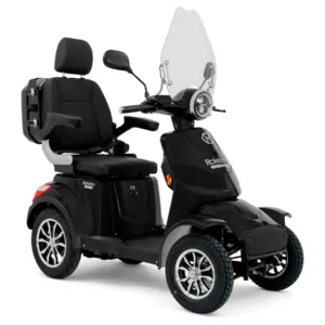 Rolektro E-Quad 25 V.3 Premium Lithium