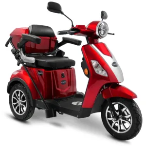 Rolektro E-Trike 15 V.2 Blei-Gel