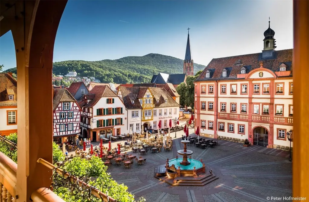E-Bikes kaufen in Neustadt - Panorama der Stadt mit Blick auf die historische Altstadt