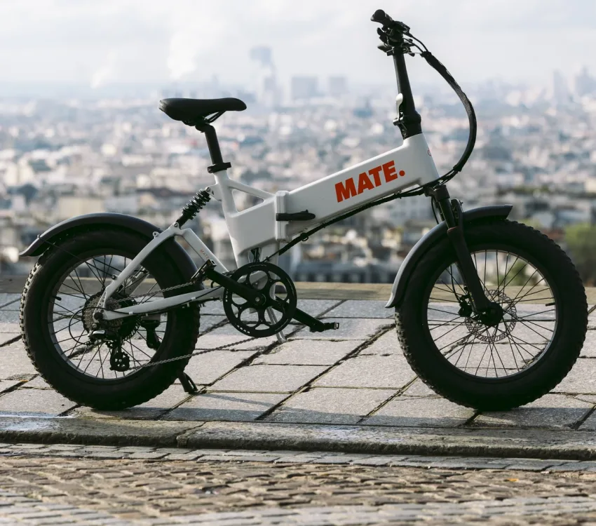 MATE E-Bike in Ghost Gravity mit dicken Reifen abgestellt auf Kopfsteinpflaster vor einer städtischen Panorama-Kulisse.